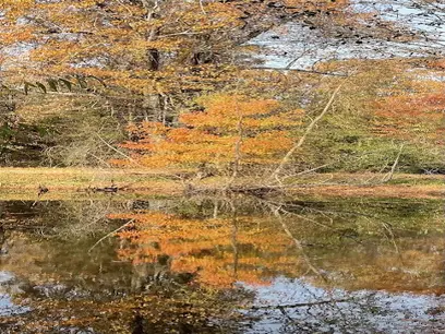 Clysta Willett Park