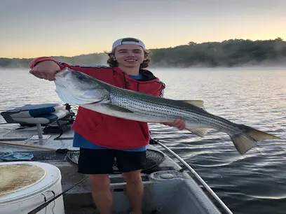 Lake Norfork Resort