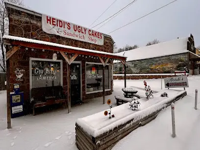 Heidi's Ugly Cakes and Sandwich Shop